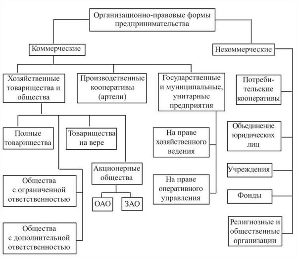 Общество с ограниченной ответственностью (ООО) и его роль в экономике