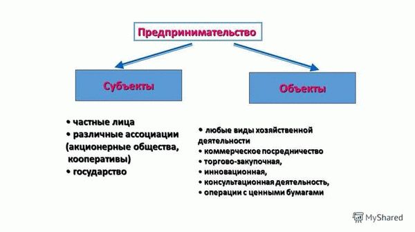 Индивидуальные предприниматели как субъекты бизнеса