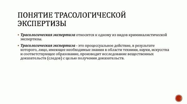 Как проводится независимая трасологическая экспертиза при ДТП?