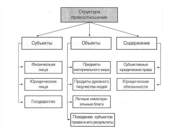 Процедура получения алиментов и особенности взыскания