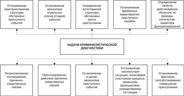 Роль криминалистики в раскрытии преступлений