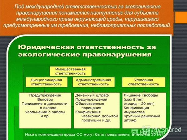 Гражданско-правовая ответственность за экологические правонарушения