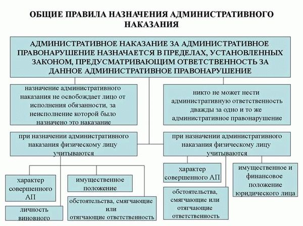 Виды административных правонарушений