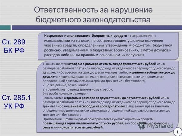 Задачи адвоката по нецелевому использованию бюджетных средств