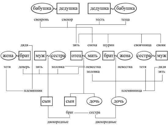 Члены семьи, но не родственники