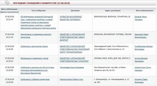 Функции и назначение ЕФРСБ