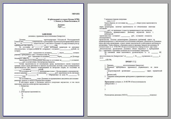 Банкротство физлиц - основные аспекты и порядок процедуры