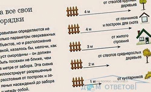 Забор между соседями: какие штрафы предусмотрены