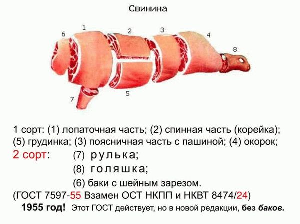 Процесс убоя и подготовки свинины