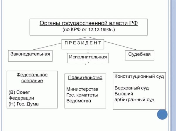 Обязанности органов исполнительной власти