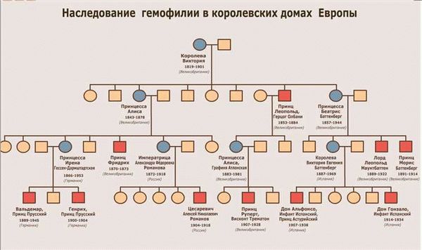 Какие виды родства существуют и как их назвать?