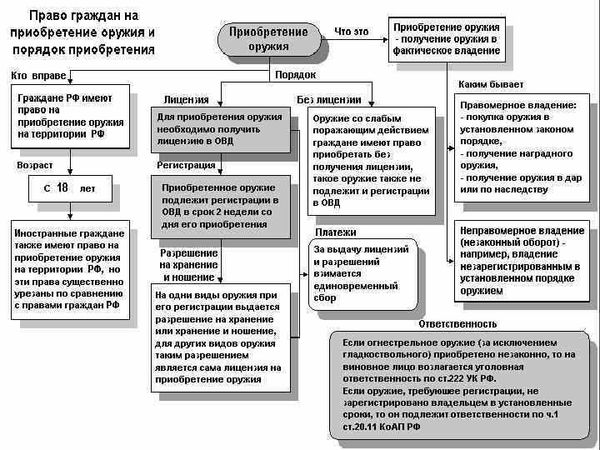 Официальный сайт Калашников Маркет — ваш источник информации