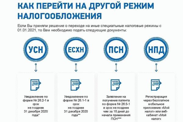 Актуальность выбора кодов ОКВЭД в 2025 году