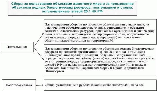 Порядок исчисления и уплаты сбора за пользование объектами животного мира