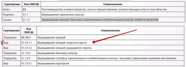 Код ОКПО выдают автоматически при регистрации