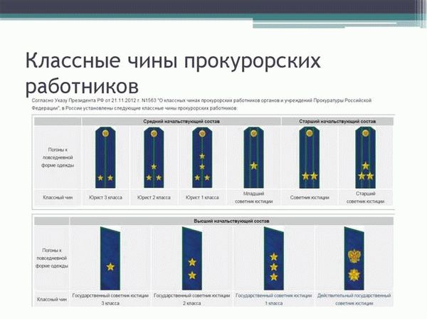 Какие данные содержит реестр проверок?