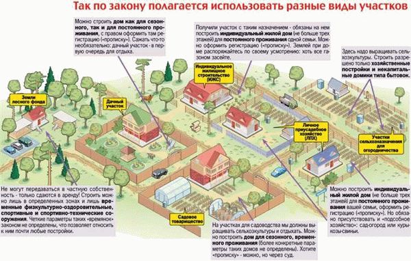 Можно ли вырубать деревья на собственном участке под ИЖС