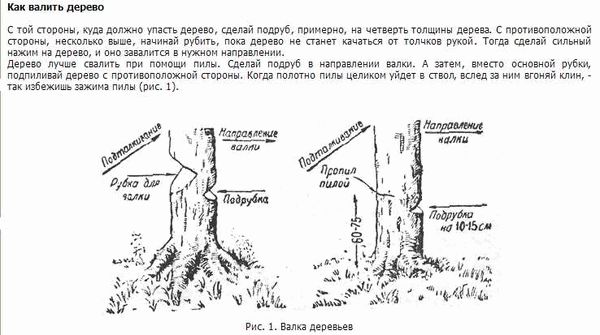 Можно ли вырубать деревья на собственном участке