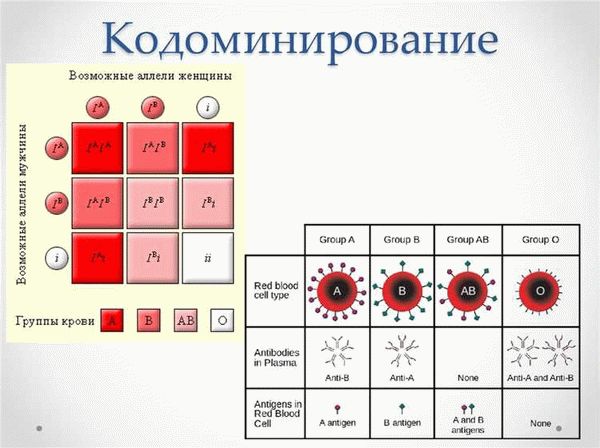 Возможные проблемы при беременности