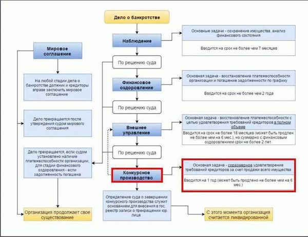 О роли финансового управляющего в процедуре банкротства физического лица