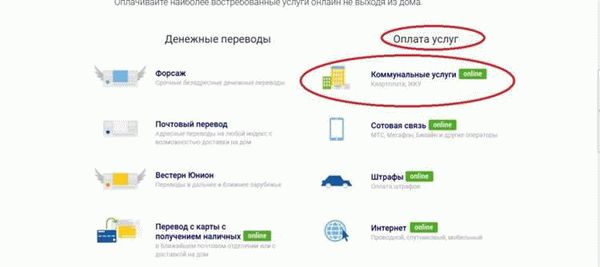 Процесс оплаты электроэнергии через интернет