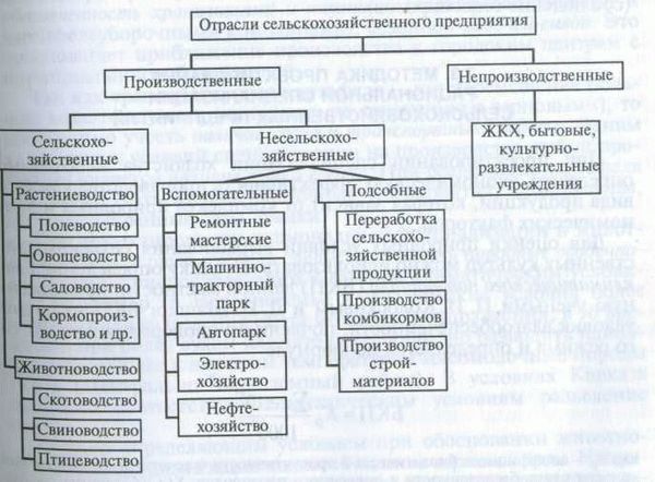 Производственные показатели в растениеводстве и животноводстве