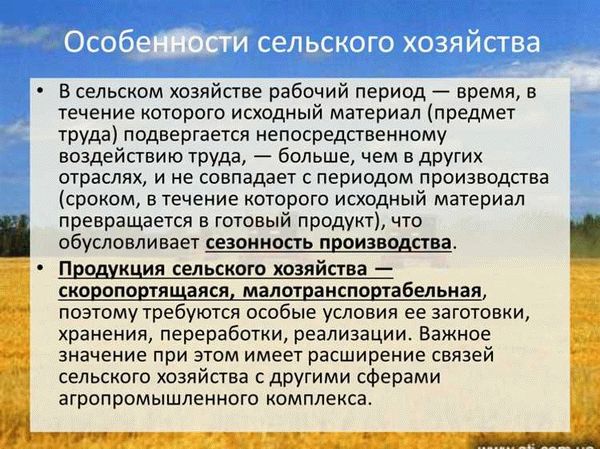 Особенности сельскохозяйственного производства изучаются в Студопедии