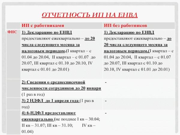 Финансовая отчетность ИП: показатели и их расчет