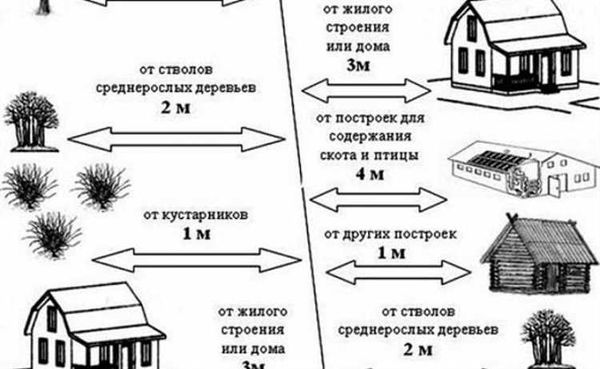 Ограничения местных властей по отступам при строительстве гаража