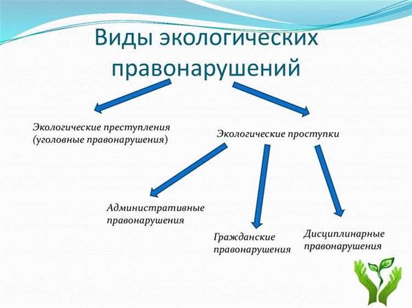 Понятие экологического права