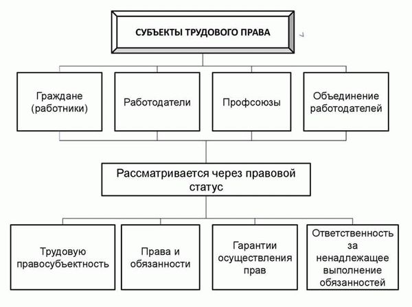 Определение и значение