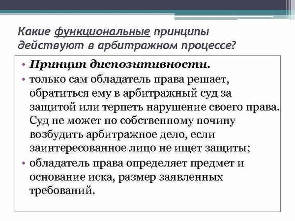 Принцип диспозитивности в арбитражном процессе