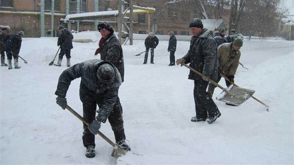 Кому и за что могут быть назначены принудительные работы?