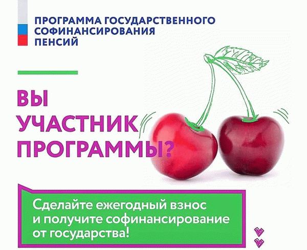 Проверка участия в программе