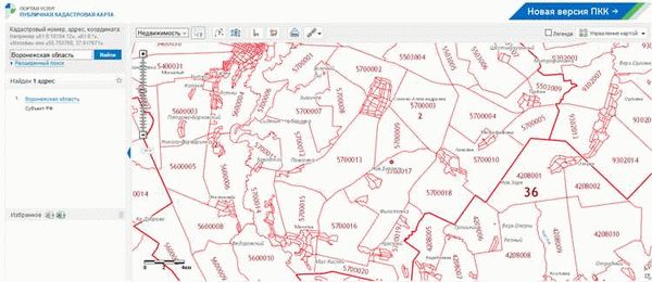 Публичная кадастровая карта России
