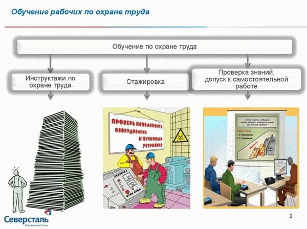 Нормативно-правовые акты и процедура избрания