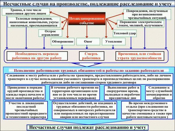 Порядок расследования