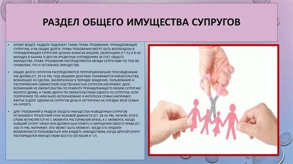 Доля владения имуществом – по половине