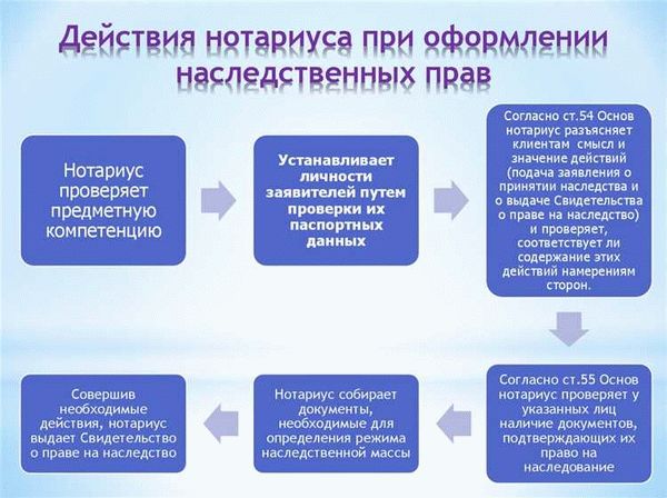 Реестр наследственных дел на официальном сайте нотариата: польза и простота в использовании