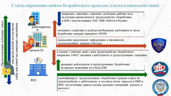 Порядок и сроки регистрации организаций и ИП в СФР