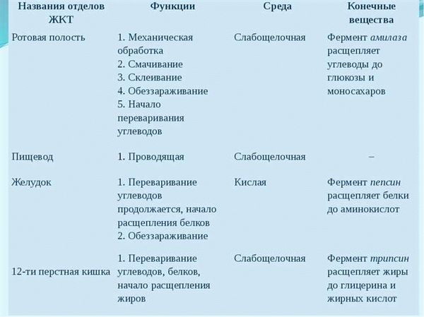 Количество людей в составе роты