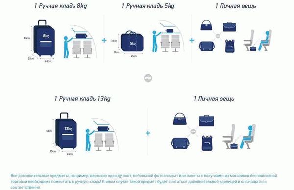 Ручная кладь в самолет: размеры и вес 2024