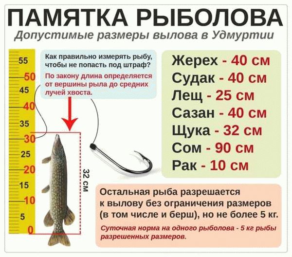 Важное в Правилах рыболовства