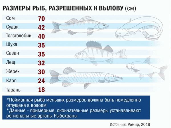 Сроки запрета на рыбалку с лодки