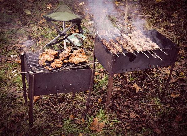 Шашлыки на природе 2024: где разрешено и где запрещено жарить мясо