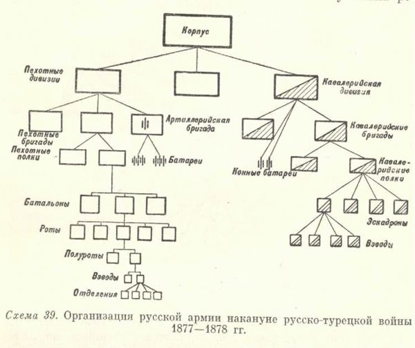 Структура роты