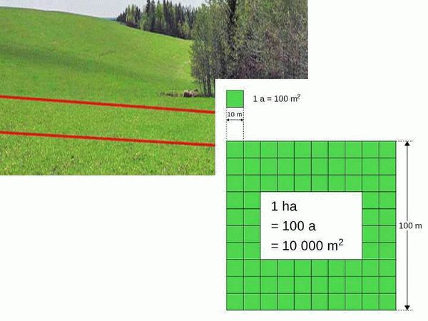 Какие стандартные способы измерения площади сотки земли существуют?