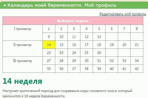 Сколько недель в месяцах?