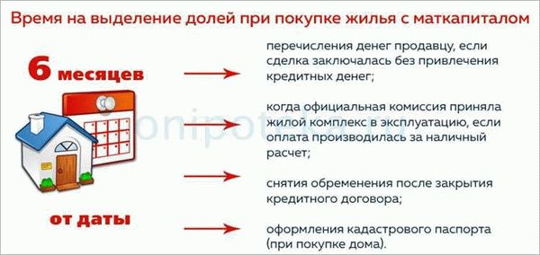 Выберите свой пакет услуг: гибкие варианты сотрудничества