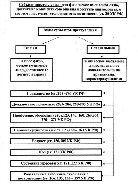 Анализ понятия спецсубъекта